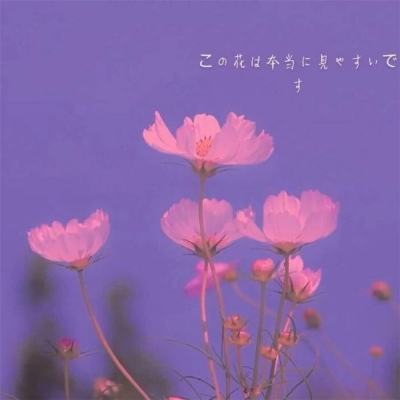 出击吧师兄果盘版下载
