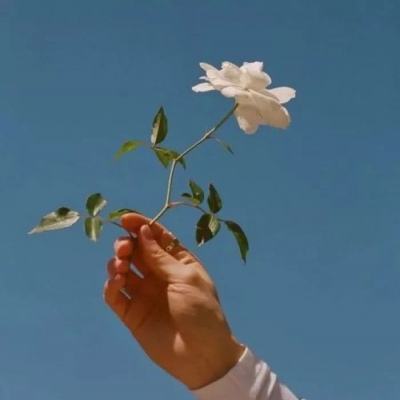 一剑断念破解版下载